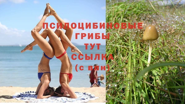 каннабис Дмитров