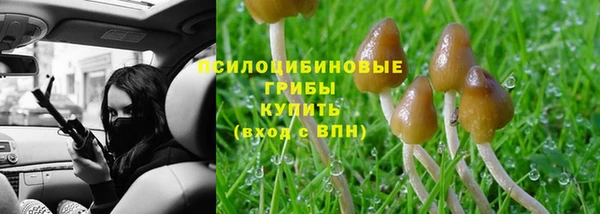 каннабис Дмитров