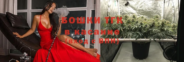 амфетамин Ельня